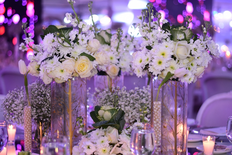 Wedding of Abbas Chamssedine and Manal Safa Part2